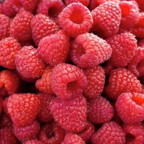 wheat raspberries