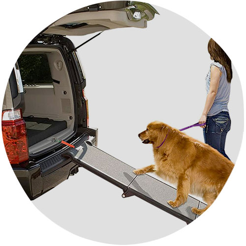 Pet Gear Trifold Ramp for cars